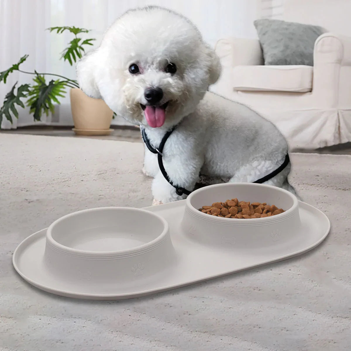 New Silicone Pet Feeding Bowl