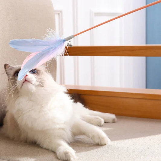 New Pet Cat Toy Products Feather Teasing Stick