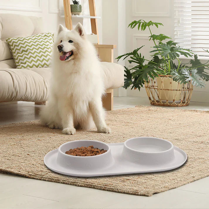 New Silicone Pet Feeding Bowl