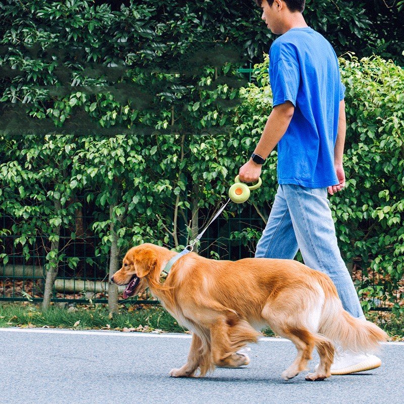 Dog Leash Retractable Pet Leash Reflective Rope